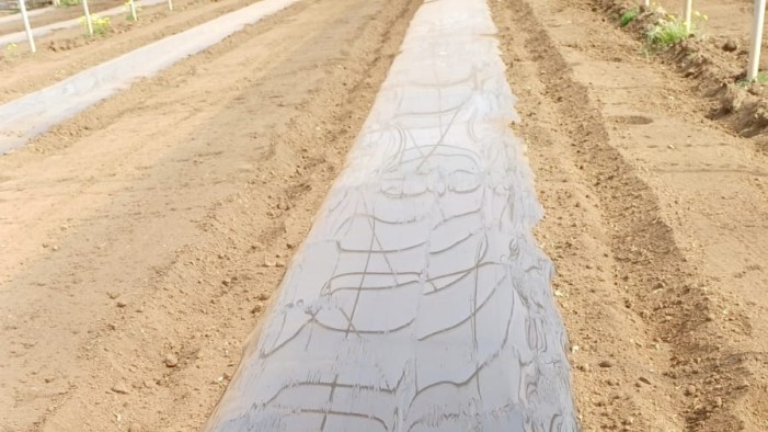 Grupo Armando Alvarez acolchado|Grupo Armando Alvarez acolchado|Grupo Armando Alvarez acolchado